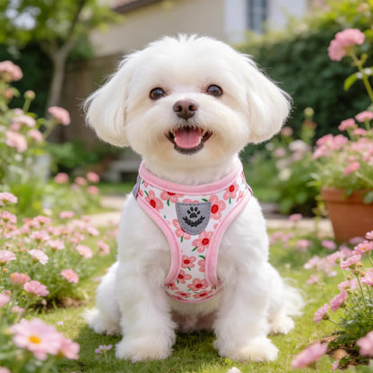 Small Dog Harness Collar and Leash Set,Cute Puppy Harness No Pull