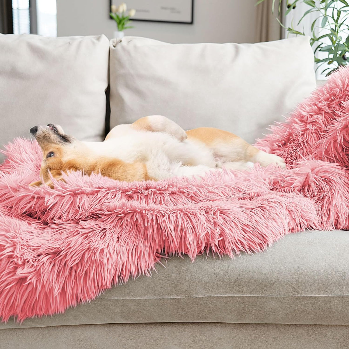 JONIYEAR Extra 2.8" Long Hair Fluffy Faux Fur Throw Blanket 50" x 60", Luxury Soft Decorative Fuzzy Furry Blankets for Couch, Cozy Plush Shaggy Blankets for Sofa Bed, Cute Lovely Blanket for Pet, Pink