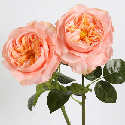 2Pcs Fake Austin Rose Peonies Flowers Real Touch Peach Roses with Stems 25.60'' Latex Peony Artificial Flowers for Home Decor Flower Arrangement Wedding Centerpieces Valentine's Day (Peach)