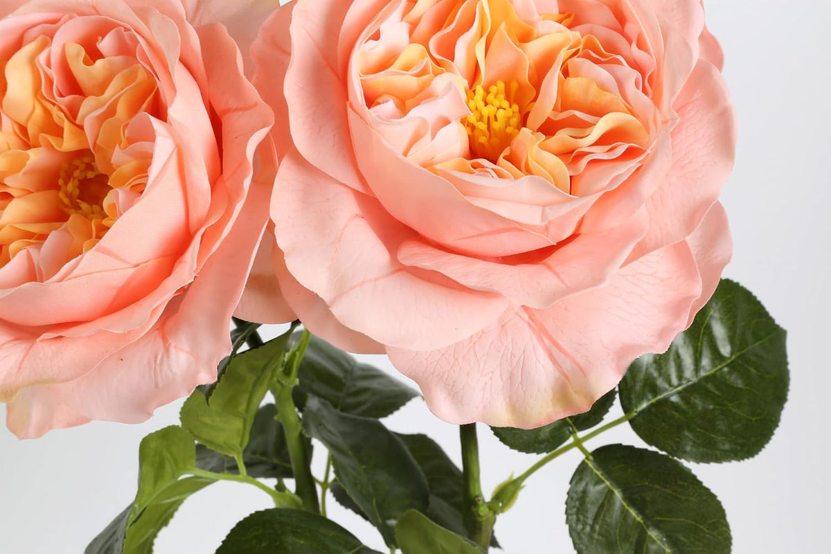 2Pcs Fake Austin Rose Peonies Flowers Real Touch Peach Roses with Stems 25.60'' Latex Peony Artificial Flowers for Home Decor Flower Arrangement Wedding Centerpieces Valentine's Day (Peach)