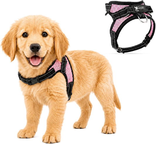 No Pull Reflective Adjustable Dog Harness with Handle- Comfortable Soft All Weather Mesh, Easy On Puppy Harness for Small Medium and Large Dogs (Pink) Small