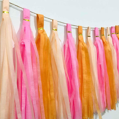 Pink Orange Peach Tissue Paper Tassels Party Tassel Garland Banner for Birthday Baby Bridal Shower Party Decoration, DIY Kits,15PCS