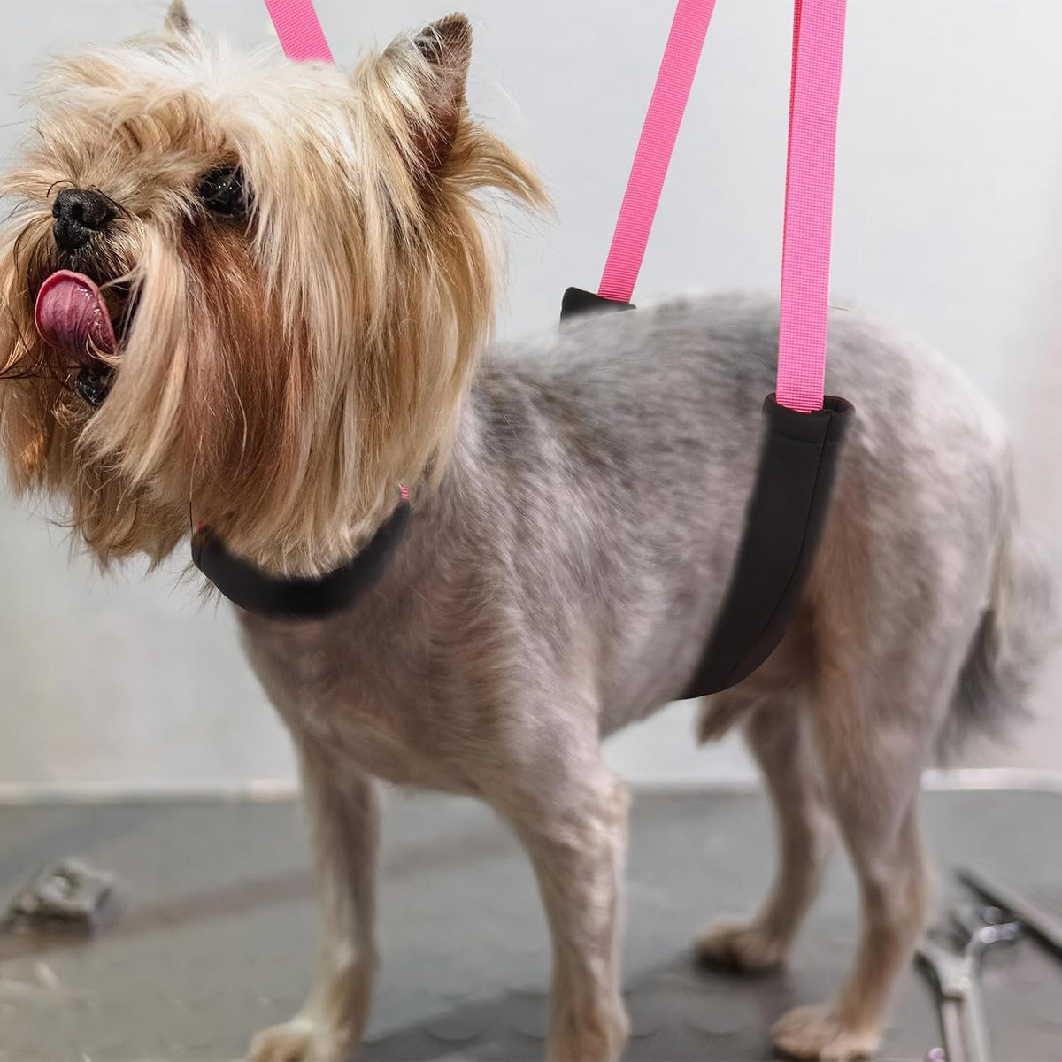 Dog Grooming Belly Strap - 3PCS Grooming Restraint Set Adjustable Belly Band Loops Strap with Padded Support & Loop Extension Straps Pet Grooming Harness Kit for Dogs (Pink)