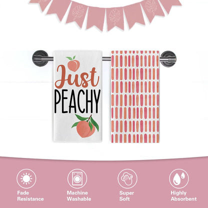 Peach Kitchen Dish Towels Set of 2