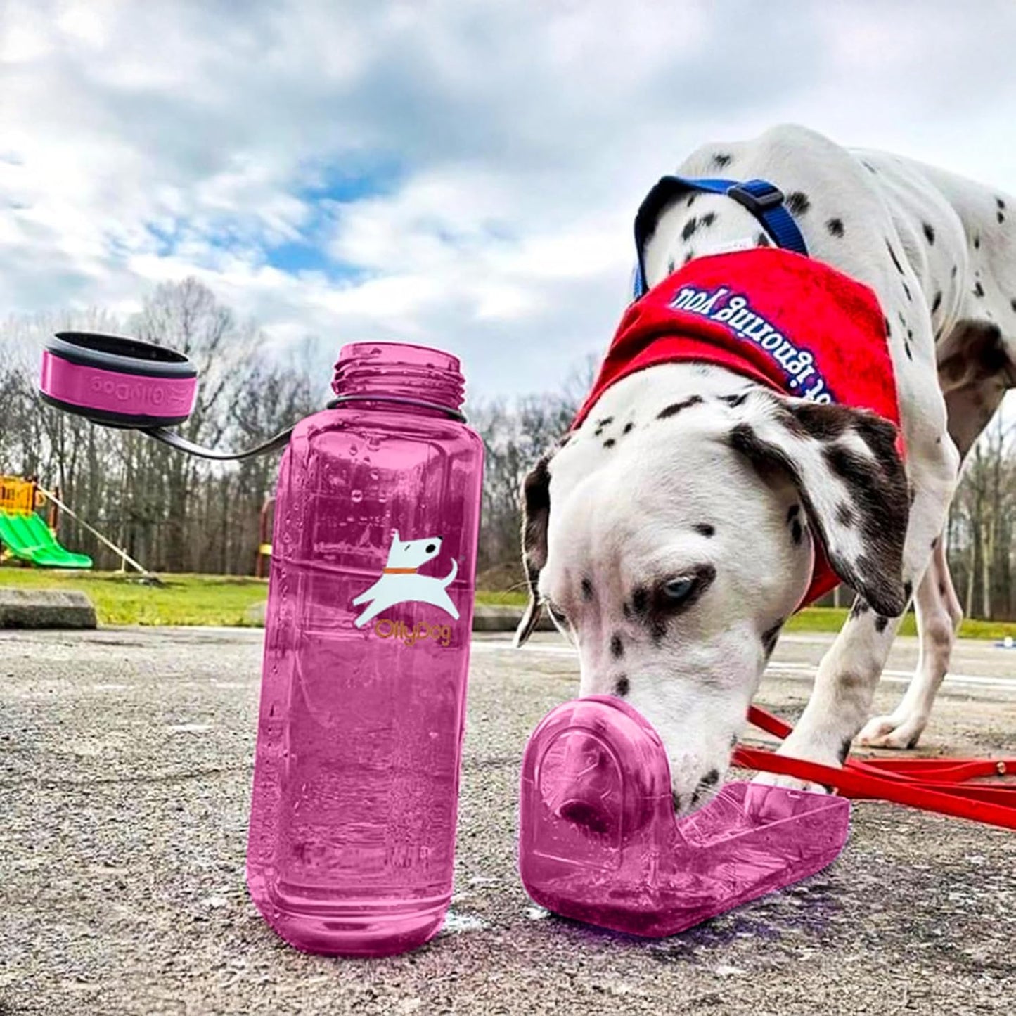 OllyDog OllyBottle Tritan Water Bottle with Detachable Dog Bowl | BPA Free Leakproof | 34oz | Share Water with Your Dog | Hiking Travel Camping (1L, Hot Pink)