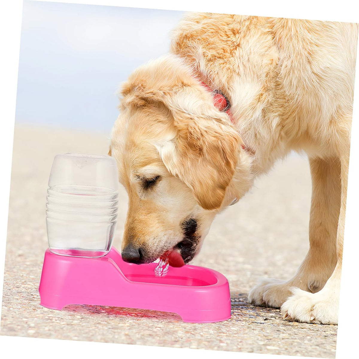Pink Plastic Dog Water Feeder Bowl 500ml Puppy Drinking Dispenser