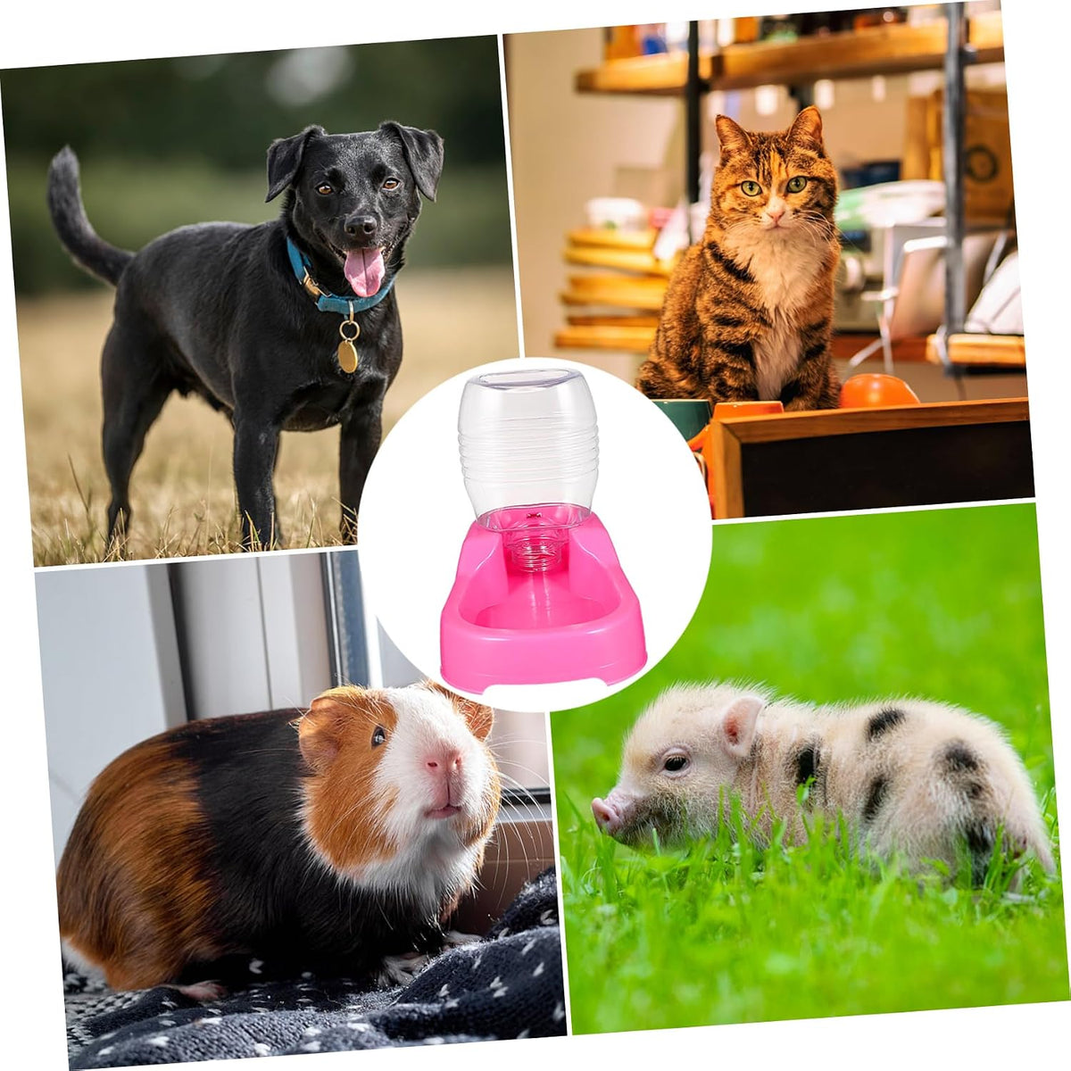 Pink Plastic Dog Water Feeder Bowl 500ml Puppy Drinking Dispenser
