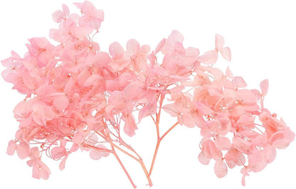 Dried Hydrangea Flower, 10g Natural Pressed Flowers Real Hydrangeas Petals for DIY Resin Crafts Card Floral Gift Candle Making Decor, Pink
