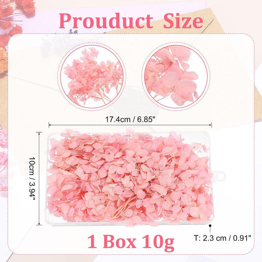 Dried Hydrangea Flower, 10g Natural Pressed Flowers Real Hydrangeas Petals for DIY Resin Crafts Card Floral Gift Candle Making Decor, Pink