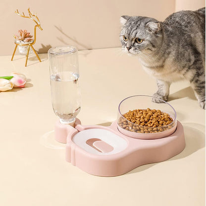 2-in-1 Dog Cat Bowls, 15°Tilted Cat Food and Water Bowl Set