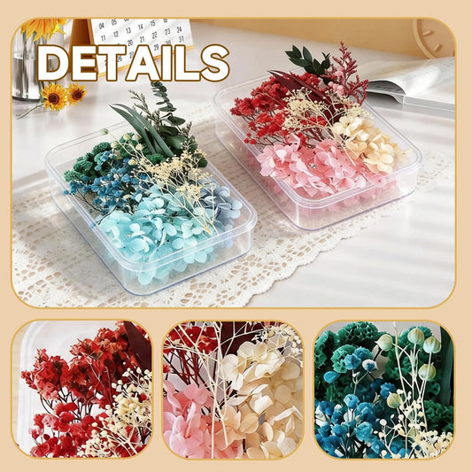 2 Pack Dried Flowers Kit, Natural Dried Flowers for DIY Crafts, Scrapbook, Card Making (Blue & Pink)