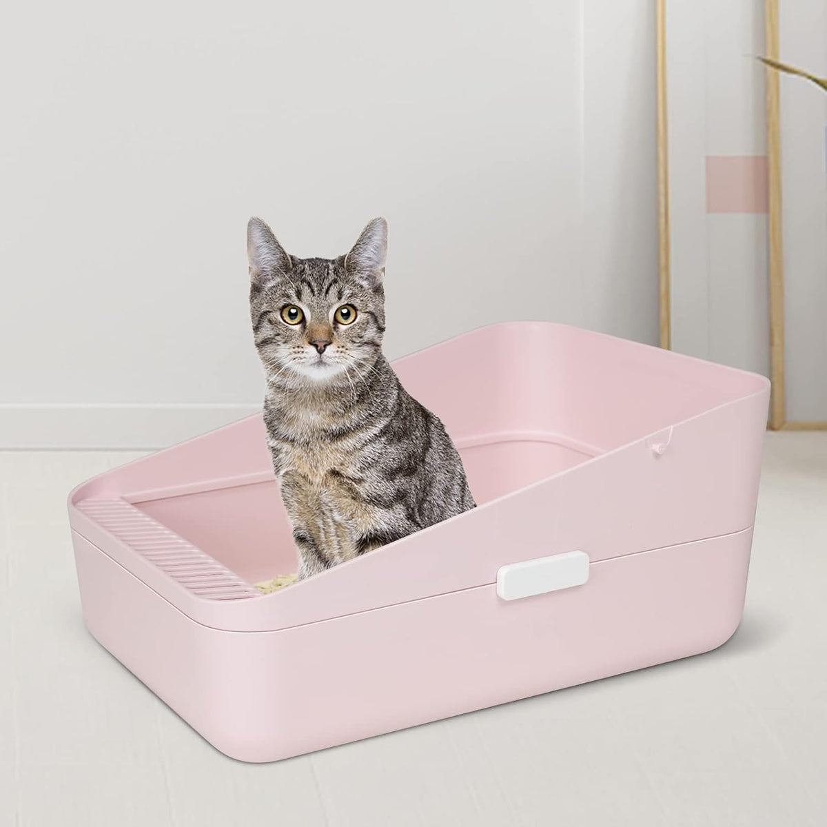 Small Cat Litter Box: Removable Tray for Cats Under 8 lbs