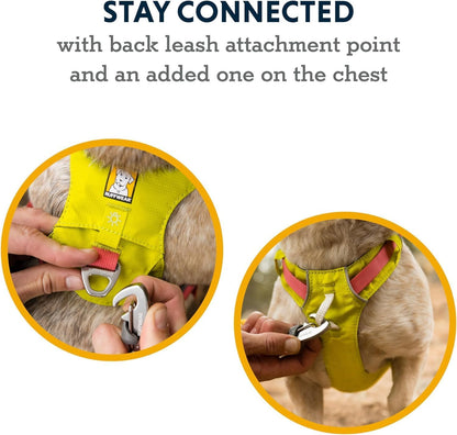Ruffwear, Hi & Light Dog Chest Harness, Alpenglow Pink, Large/X-Large