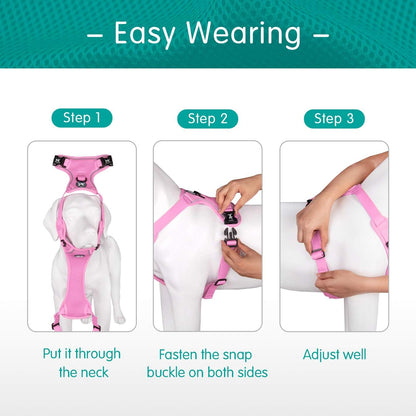 Mesh Dog Harness, Reflective Breathable Puppy Vest for Small Dogs