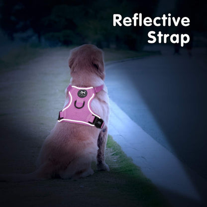 Mesh Dog Harness, Reflective Breathable Puppy Vest for Small Dogs