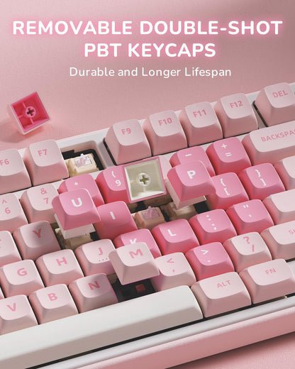 R75 Mechanical Keyboard Wired with Volume Knob, 75% Keyboard Gasket Mounted, Hot Swappable, Creamy Sound, MDA Profile, PBT Keycaps, Pink