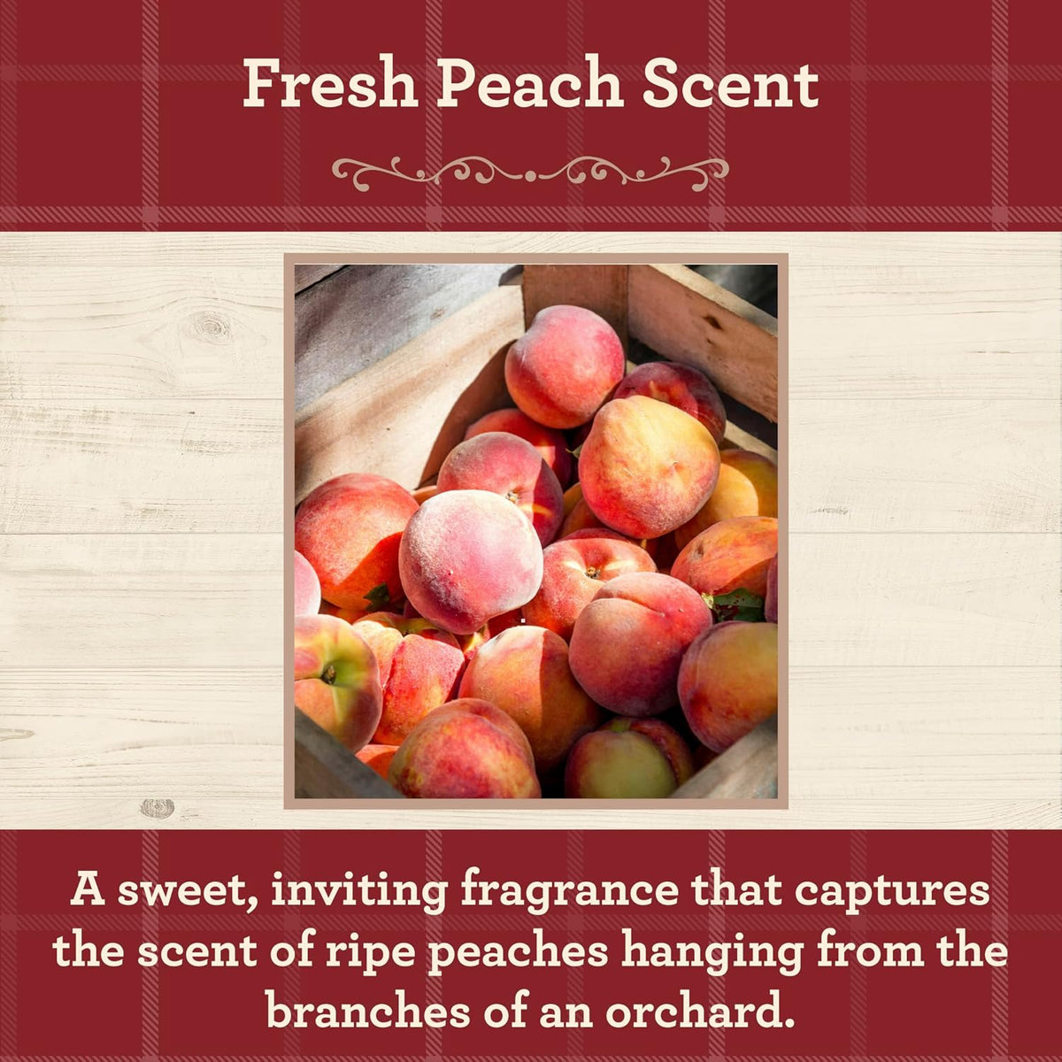 Fresh Peach Scented Mason Jar Candle, Our Own Candle Company, 13 oz