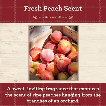Fresh Peach Scented Mason Jar Candle, Our Own Candle Company, 13 oz