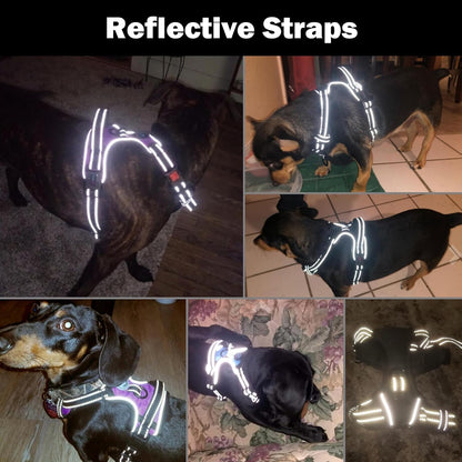 No Pull Dog Harness Medium Reflective Front Clip Vest with Handle
