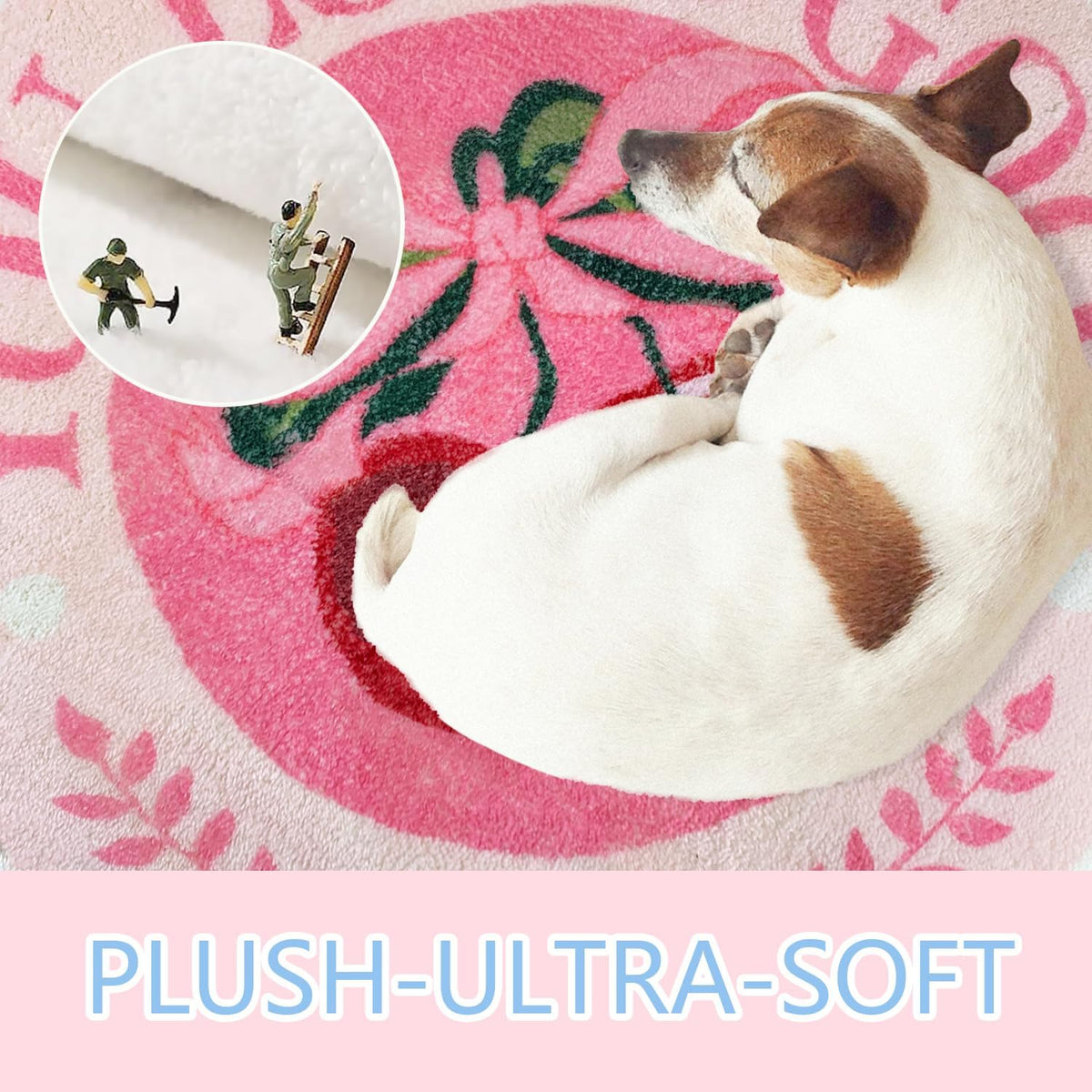 SHIYUE You Look Good Cute Cherry Bath Mat, Ultra Soft and Fluffy Microfiber Water Absorption Non Slip Mat for Bedroom Kitchen Bathroom Rug Decor(23.6"×23.6" Pink Bow Y01)