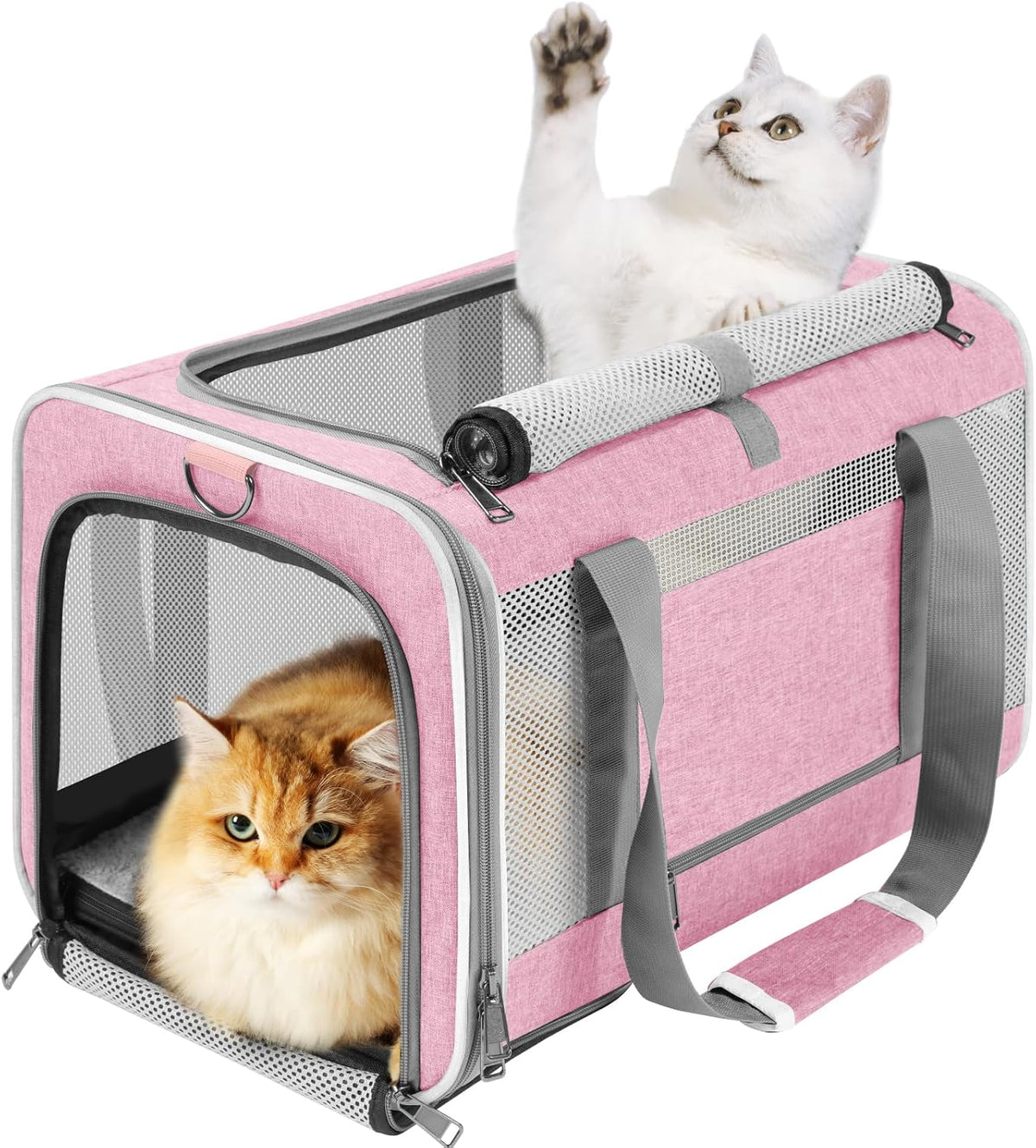 Large Cat Carrier Soft, Collapsible Travel Pet Carry Bag, Small Dogs