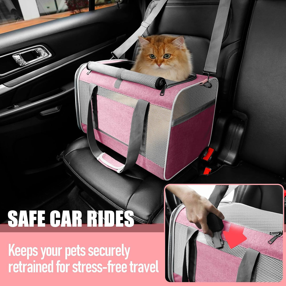 Large Cat Carrier Soft, Collapsible Travel Pet Carry Bag, Small Dogs
