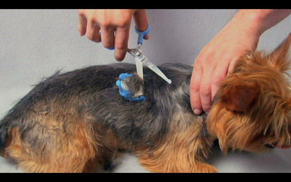 No Buzz Clipper + Sharpener Silent Home Pet Grooming Kit, Pink, Right-Handed