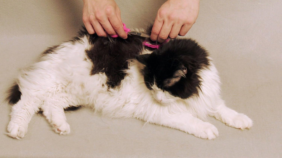 No Buzz Clipper + Sharpener Silent Home Pet Grooming Kit, Pink, Right-Handed