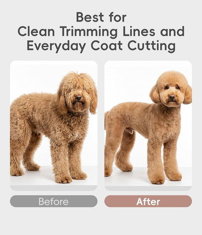 8'' Dog Straight Scissors for Grooming 440C Stainless Steel Rose Gold Professional Pet Trimming Scissors Sharp Blades Cutting for Dogs and Cats Shears