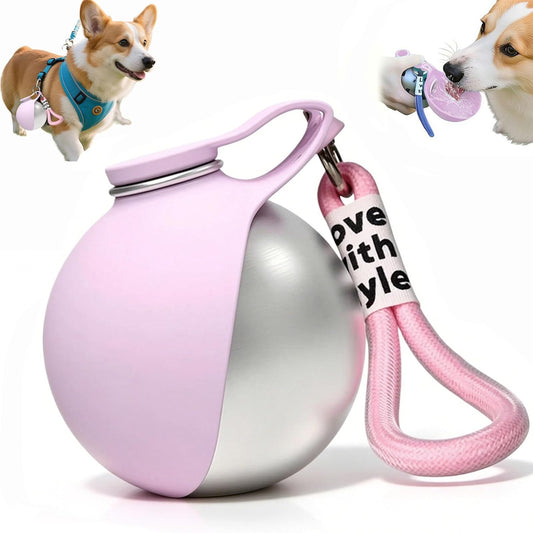 Foldable Pet Water Bottle for Travel, 2 in 1 Portable Dog Water Bottle, Dog Travel Waters Bottles with Bowl, Leak Proof Stainless Steel Pet Waters Dispenser for Walking Hiking, for Small Dogs