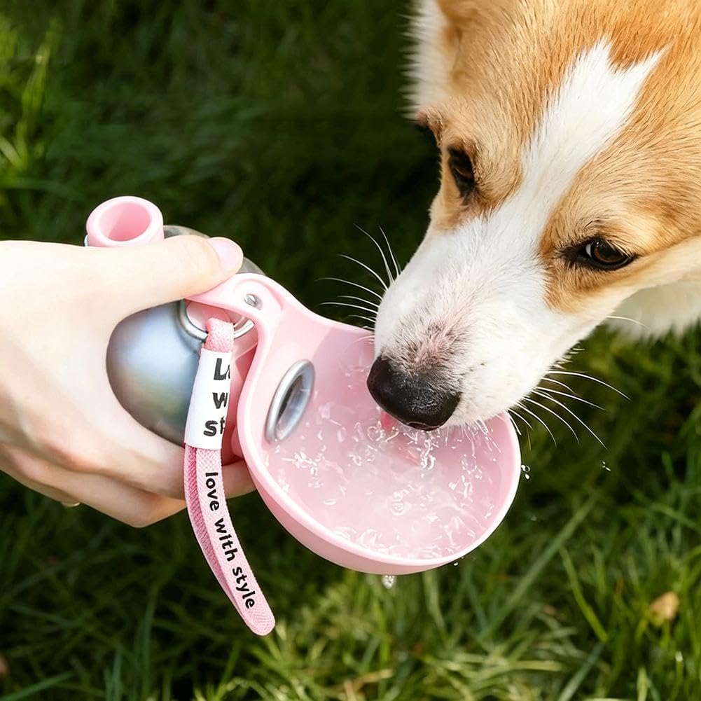 Foldable Pet Water Bottle for Travel, 2 in 1 Portable Dog Water Bottle, Dog Travel Waters Bottles with Bowl, Leak Proof Stainless Steel Pet Waters Dispenser for Walking Hiking, for Small Dogs