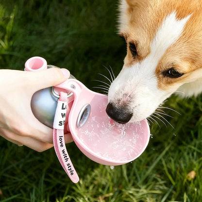 Foldable Pet Water Bottle for Travel, 2 in 1 Portable Dog Water Bottle, Dog Travel Waters Bottles with Bowl, Leak Proof Stainless Steel Pet Waters Dispenser for Walking Hiking, for Small Dogs