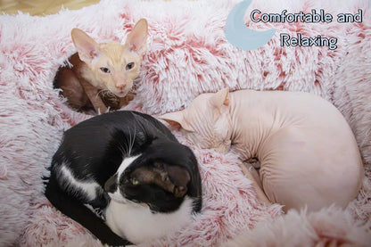 4-Cave Plush XL Cat Tunnel Bed Indoor Cats Peekaboo Toy Mat Pink