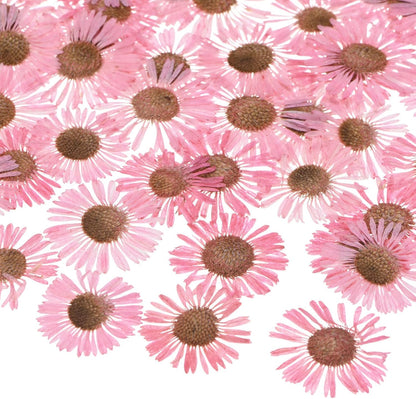 60-Pack Dried Pressed Flowers for Resin, Real Natural Bulk Dry Floral for Crafts/DIY Jewelry/Soap Making/Scrapbooking/Handmade Candle/Epoxy Resin Supplies [Pink]
