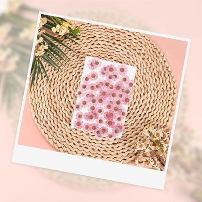 60-Pack Dried Pressed Flowers for Resin, Real Natural Bulk Dry Floral for Crafts/DIY Jewelry/Soap Making/Scrapbooking/Handmade Candle/Epoxy Resin Supplies [Pink]