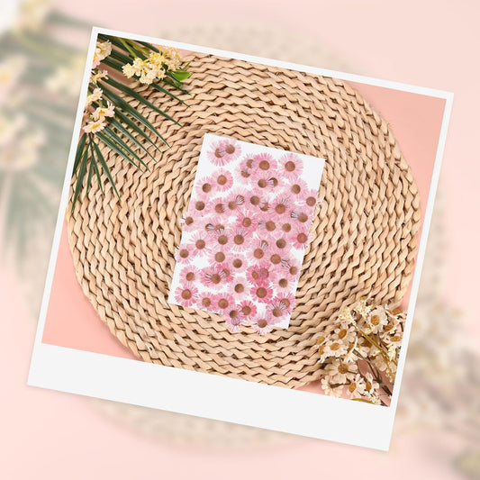 60-Pack Dried Pressed Flowers for Resin, Real Natural Bulk Dry Floral for Crafts/DIY Jewelry/Soap Making/Scrapbooking/Handmade Candle/Epoxy Resin Supplies [Pink]