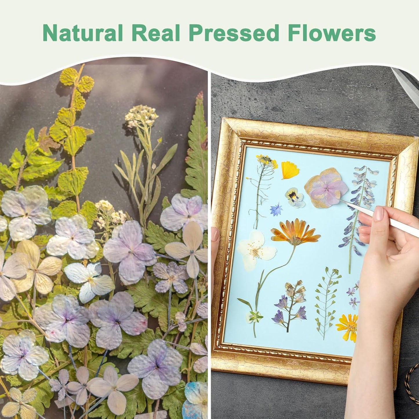 60-Pack Dried Pressed Flowers for Resin, Real Natural Bulk Dry Floral for Crafts/DIY Jewelry/Soap Making/Scrapbooking/Handmade Candle/Epoxy Resin Supplies [Pink]