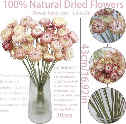 20 Pcs Natural Dried Daisy Flowers Bouquet Dried Flower Pink Daisies Dried Sunflowers Chrysanthemum with Stem for Wedding Farmhouse Table Vase Decor Home DIY Flower Arrangement