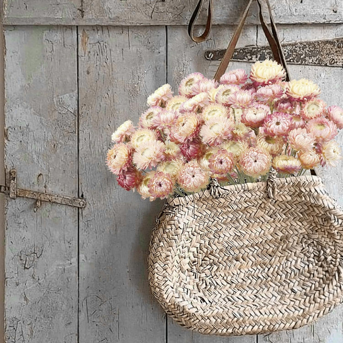 20 Pcs Natural Dried Daisy Flowers Bouquet Dried Flower Pink Daisies Dried Sunflowers Chrysanthemum with Stem for Wedding Farmhouse Table Vase Decor Home DIY Flower Arrangement
