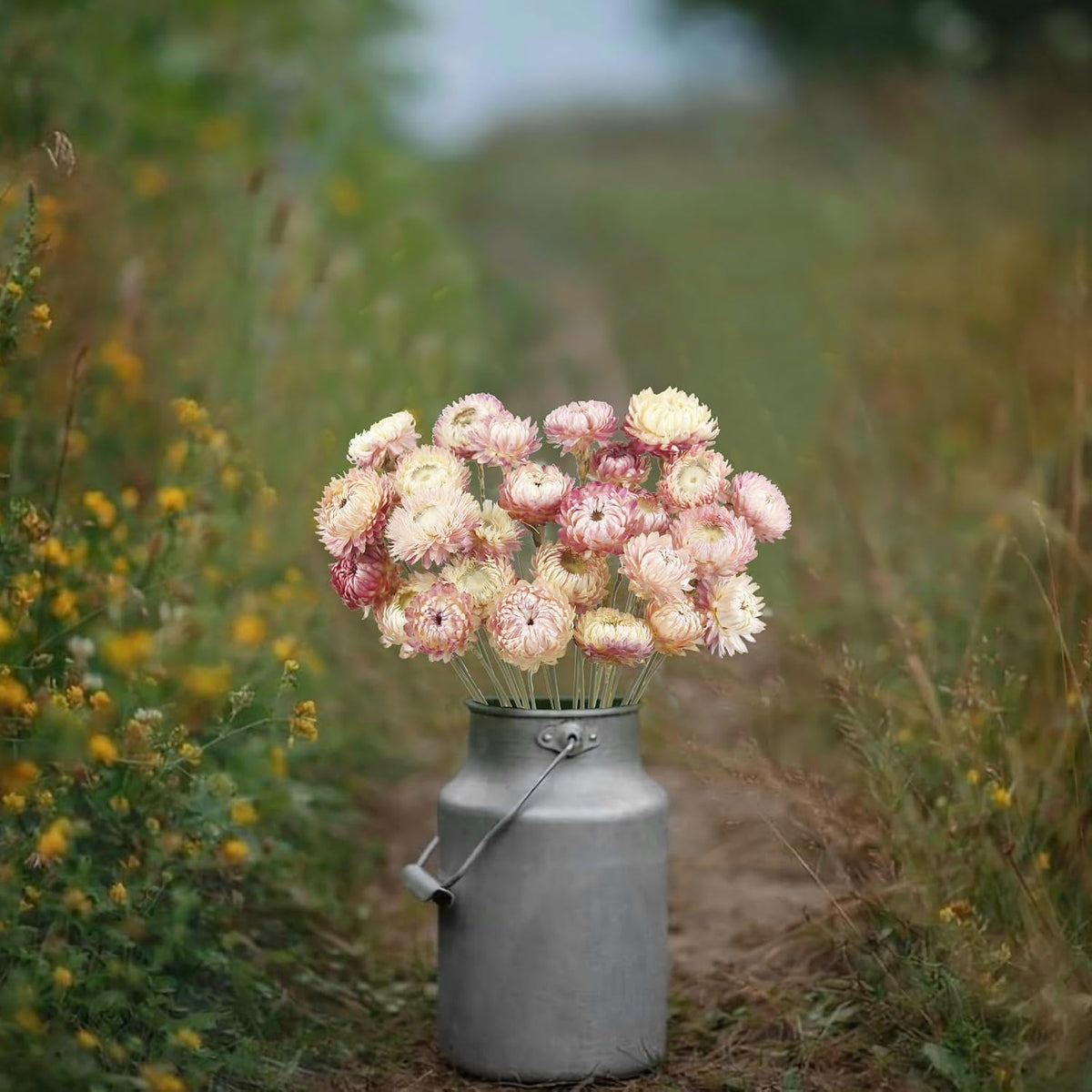 20 Pcs Natural Dried Daisy Flowers Bouquet Dried Flower Pink Daisies Dried Sunflowers Chrysanthemum with Stem for Wedding Farmhouse Table Vase Decor Home DIY Flower Arrangement