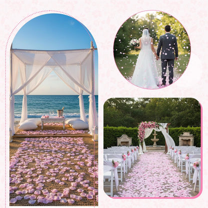1000PCS Pink Rose Petals, Artificial Silk Flower Petals for Galentines Day Decorations, Fake Pink Petal for Proposal Girl Party Valentine's Day, Romantic Decor for Special Night