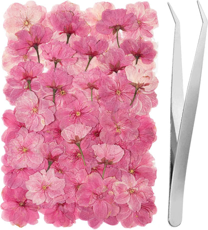 101 PCS Pressed Cherry Blossom for Crafts, Pink Dried Pressed Flowers for Resin DIY Jewelry Making Cake Card Scrapbook Decor, Dried Sakura Flowers for Soap Candle Making