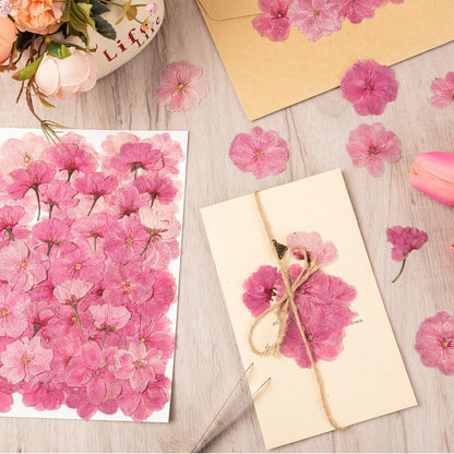 101 PCS Pressed Cherry Blossom for Crafts, Pink Dried Pressed Flowers for Resin DIY Jewelry Making Cake Card Scrapbook Decor, Dried Sakura Flowers for Soap Candle Making