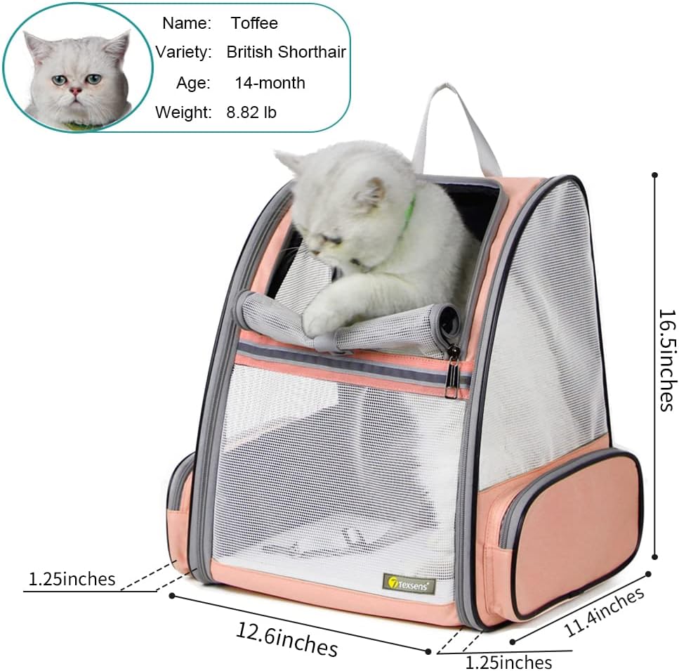 Innovative Traveler Bubble Backpack Pet Carriers for Cats and Dogs