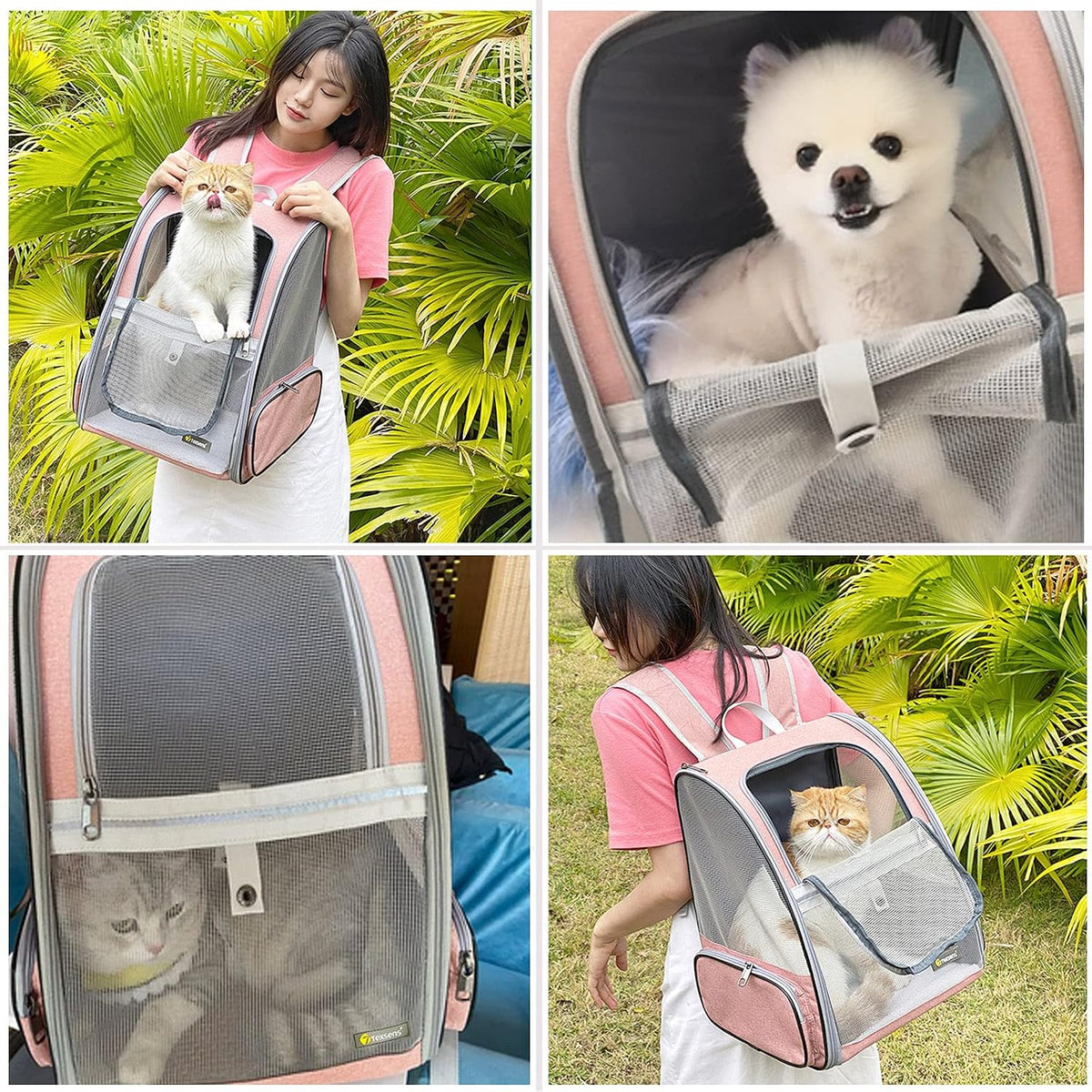 Innovative Traveler Bubble Backpack Pet Carriers for Cats and Dogs