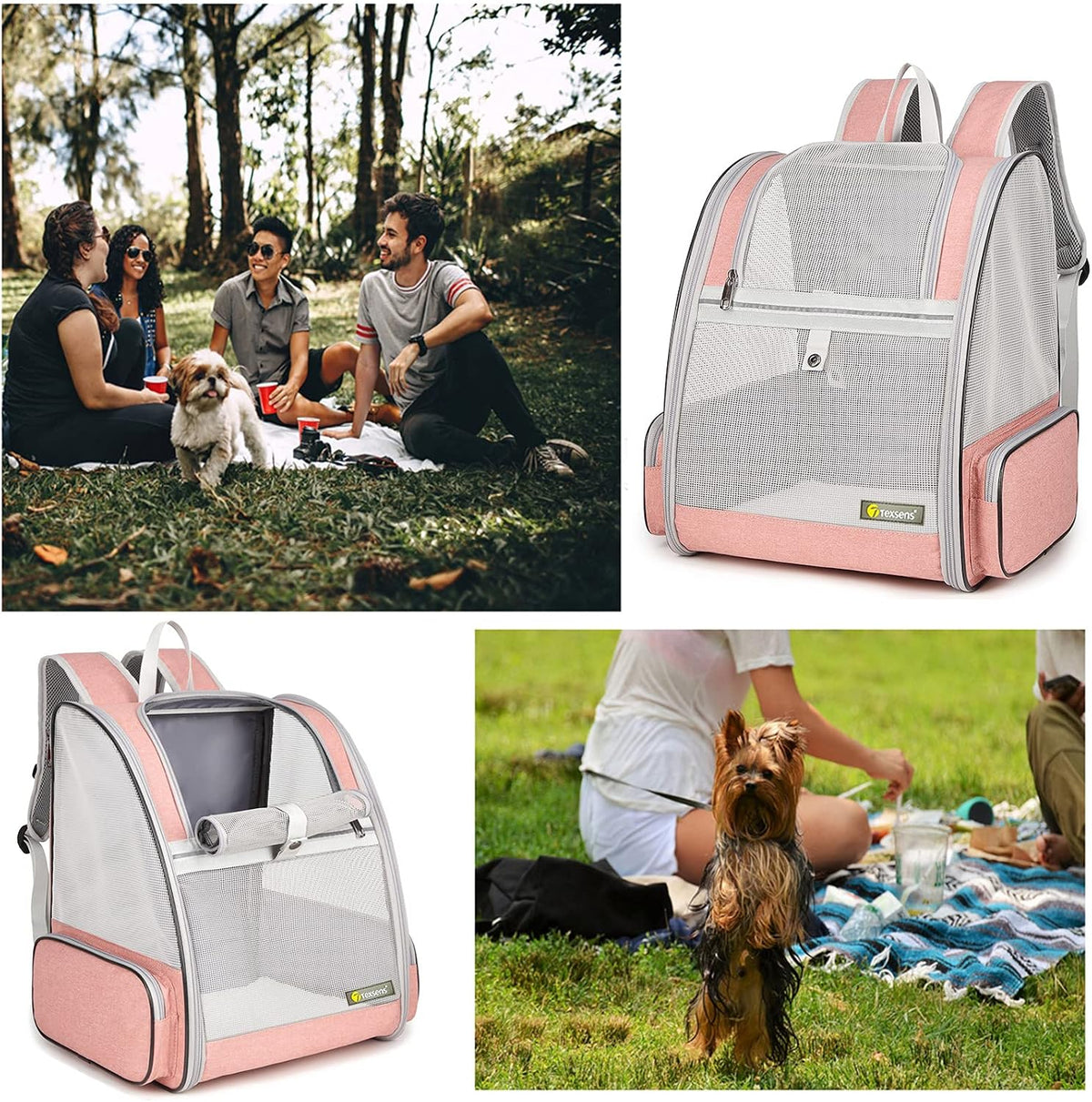 Innovative Traveler Bubble Backpack Pet Carriers for Cats and Dogs