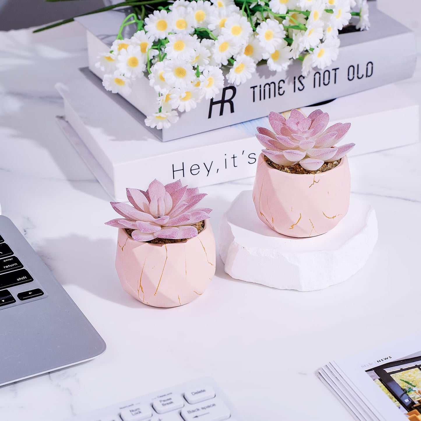 Artificial Succulent Plants in 2 Pink Ceramic Pots, Cute Fake Plants for Vanity Decor,Office, Desk, Bathroom, Kitchen,Bedroom, Shelves Decor for Women,Girls Gift