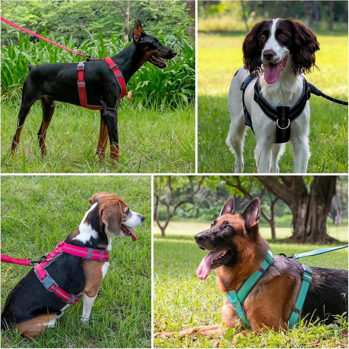Plutus Pet No Pull Dog Harness, Adjustable Nylon Harness with Soft Padding, Reflective and Heavy Duty Dog Harness for Small, Medium, Large Dogs(Hot Pink, XL)
