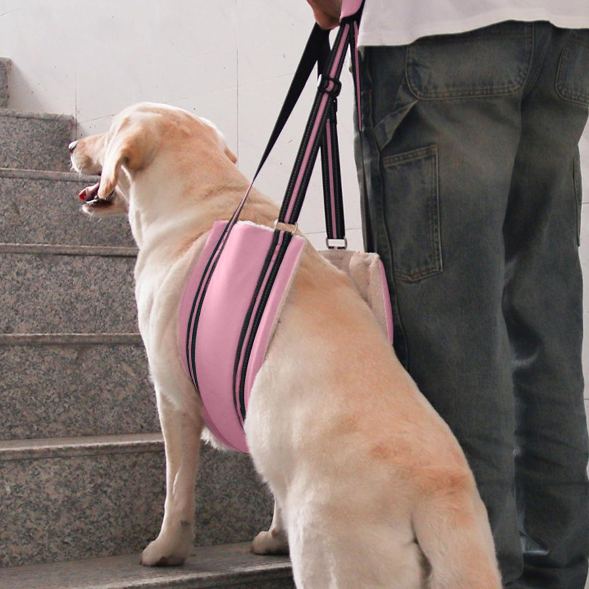 AIITLE Adjustable Dog Sling Dog Lift Harness Hind Leg Support, Pink S