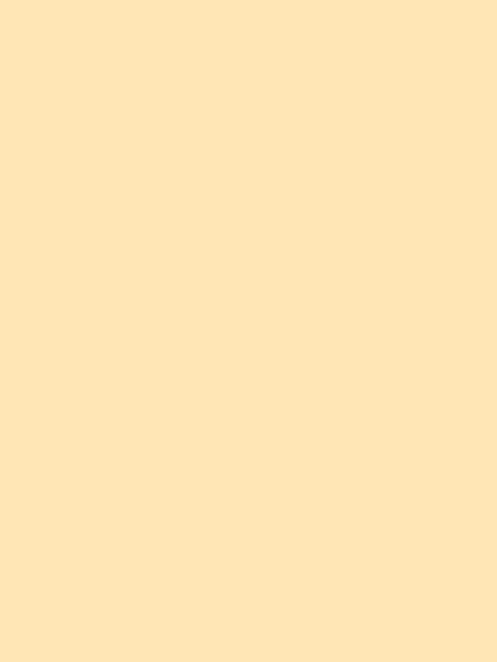 Pastel journal: 8.25 by 11 inches, Peach color journal with 120 lined pages